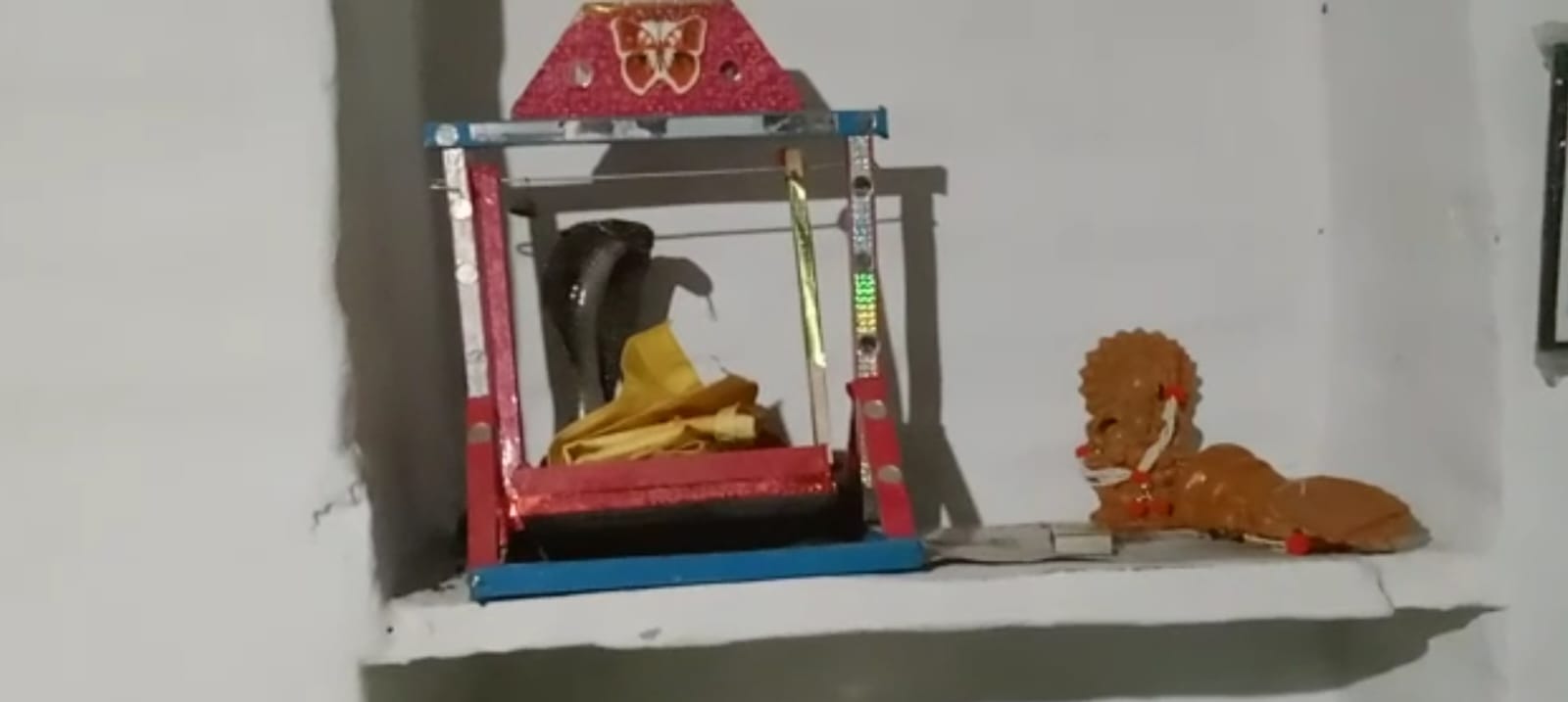 Cobra in jhula 