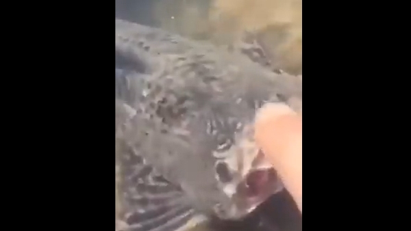  एक शख्स ने की पहचान