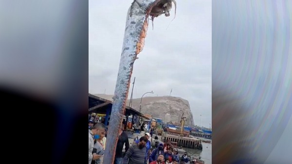 क्या है नाम?