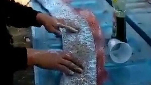 जापान में क्या हुआ था?