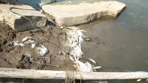 बेतवा नदी BINA बेतवा नदी BINA