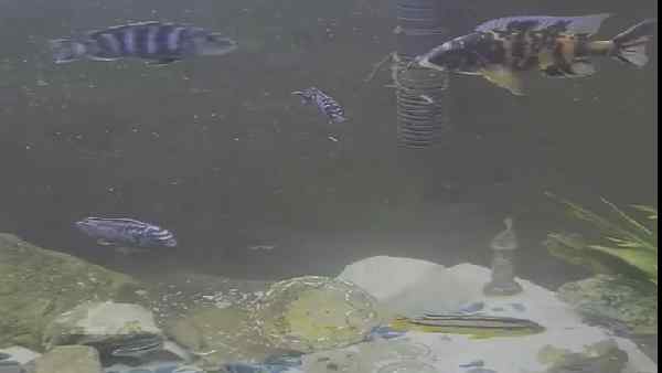 प्रजनन चक्र बनाए रखने के लिए फायदेमंद-शोध