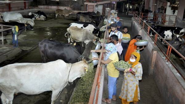 दोनों के फैसलों की निकल गई हवा दोनों के फैसलों की निकल गई हवा