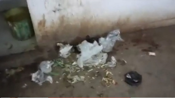 यूजर कर रहे तरह-तरह के कमेंट यूजर कर रहे तरह-तरह के कमेंट