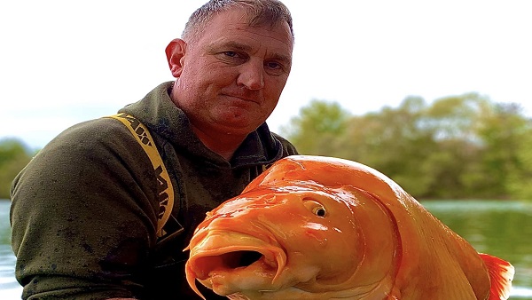 गोल्ड फिश को पकड़ने की जबरदस्त खुशी 