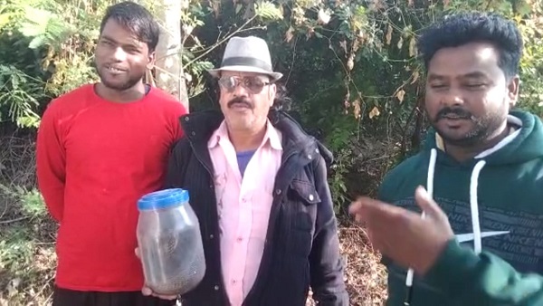 सुबह छह बजे स्नेक कैचर अकील बाबा को फोन लगाया