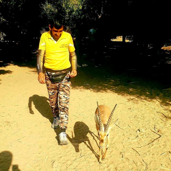 हिरण के बारे में कुछ खास फैक्ट हिरण के बारे में कुछ खास फैक्ट