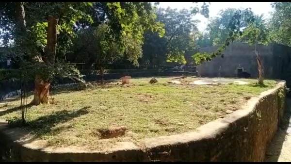 कुछ दिनों बाद नर और मादा का चलेगा पता