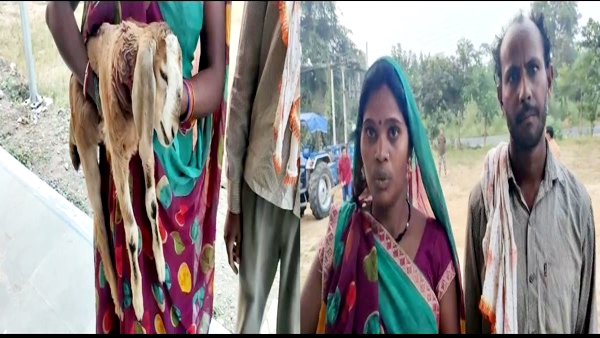 मेमने की लाश लेकर थाने पहुंची मालकिन मेमने की लाश लेकर थाने पहुंची मालकिन