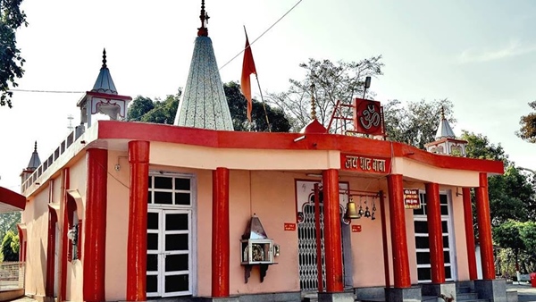 केवल कच्चा अनाज खाते है मोर केवल कच्चा अनाज खाते है मोर