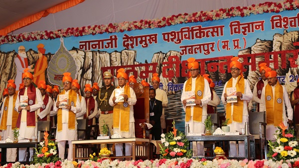 968 स्टूडेंट्स को उपाधि, 37 विद्यार्थियों को PHD