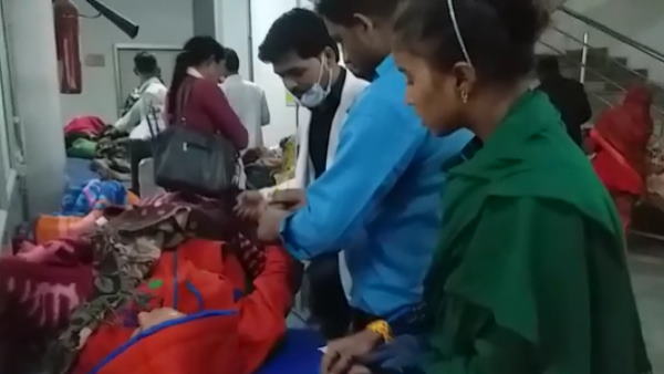 मूंगफली समझकर खा लिया जेट्रोफा