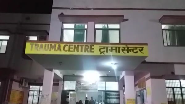 जेट्रोफा के बीज में जहरीला पदार्थ पाया जाता है