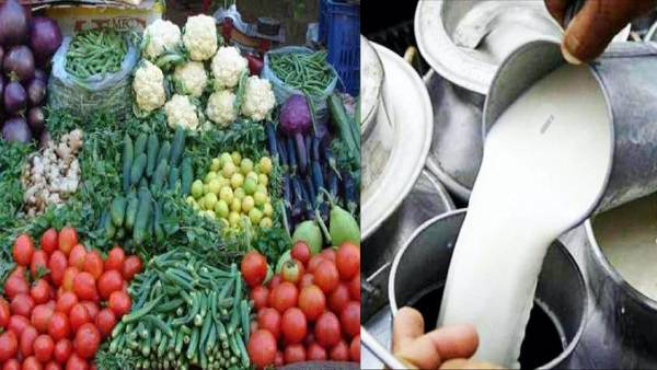 10 लीटर दूध रोज, एक वक्त की सब्जी का 1200 खर्चा 10 लीटर दूध रोज, एक वक्त की सब्जी का 1200 खर्चा