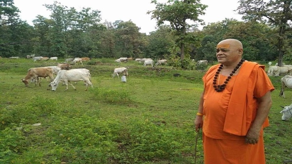 NGO के हवाले प्रदेश की गौशालाएं NGO के हवाले प्रदेश की गौशालाएं