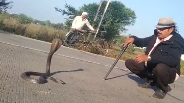 सिरोंजा के गोविंद रातभर मौत रुपी कोबरे के साथ सोता रहा