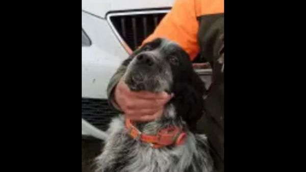 सुर्खियों में ये मामला सुर्खियों में ये मामला