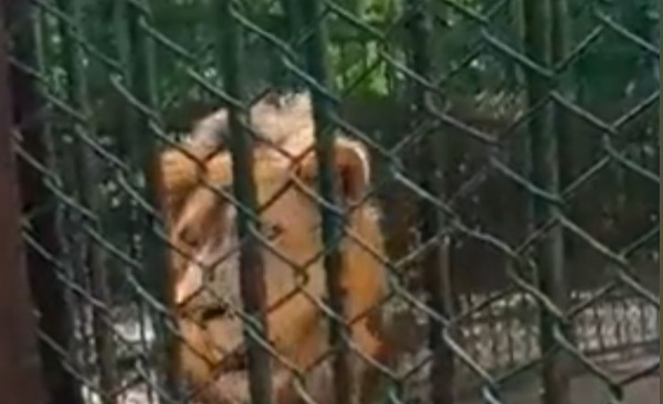 शख्‍स अब जिंदगी भर नहीं करेगा ये हरकत 