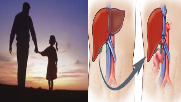 फिर से बन सकता है लीवर फिर से बन सकता है लीवर