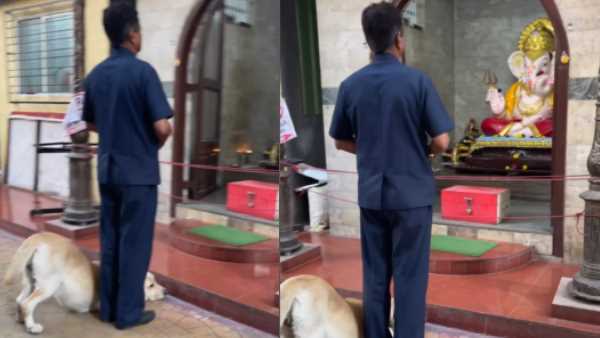 भगवान गणेश की पूजा करते नजर आया कुता