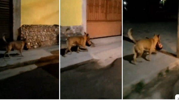 हॉरर फिल्म की लग रही सीन