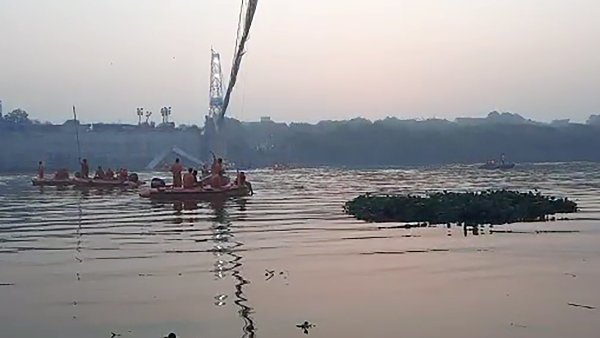 कमाई के चक्कर में गुणवत्ता का ध्यान नहीं