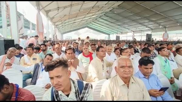 दस करोड़ लग चुकी है भैंसा की कीमत