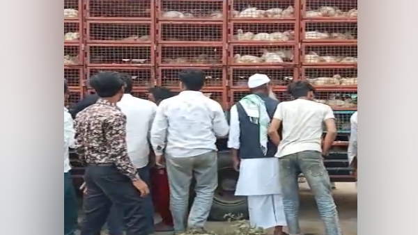 The former chairman distributed chicken by filling trucks before the civic elections