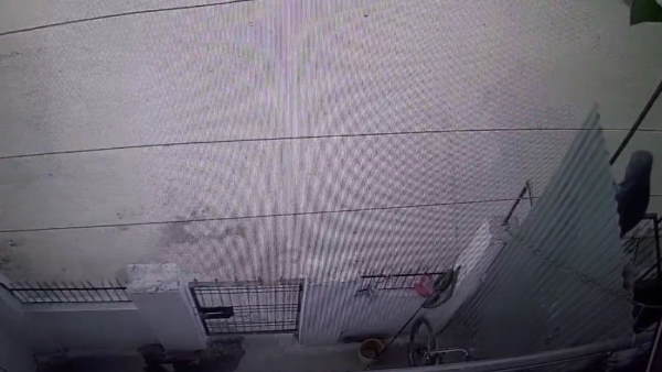 घटना का सीसीटीवी फुटेज भी है घटना का सीसीटीवी फुटेज भी है