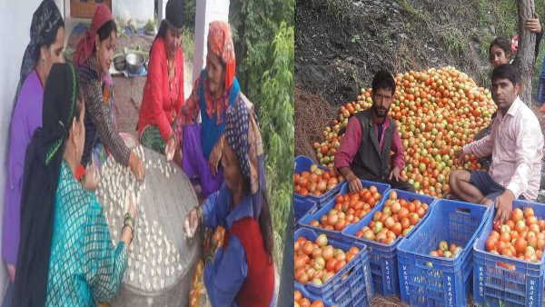 स्थानीय लोगों को स्वरोजगार में भी सहयोग मिल रहा स्थानीय लोगों को स्वरोजगार में भी सहयोग मिल रहा