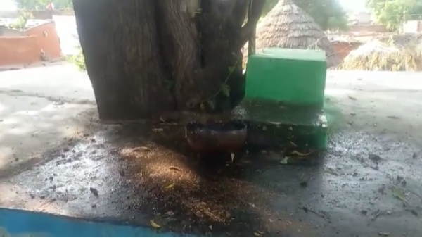 पेड़ से निकल रहा है करिश्माई पानी पेड़ से निकल रहा है करिश्माई पानी