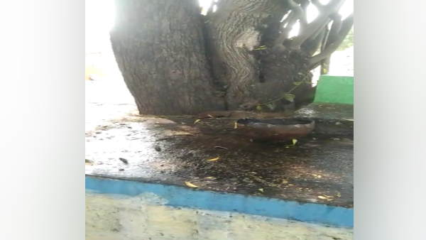 रोग हो रहे हैं दूर रोग हो रहे हैं दूर