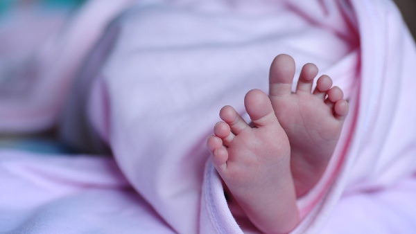 newborn newborn