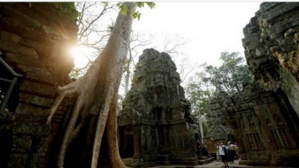 'हॉल ऑफ डांसर्स'का उद्घाटन करेंगे उपराष्ट्रपति 'हॉल ऑफ डांसर्स'का उद्घाटन करेंगे उपराष्ट्रपति