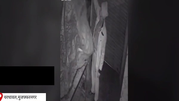 हलवाई की दुकान से पन्नी को किया चोरी