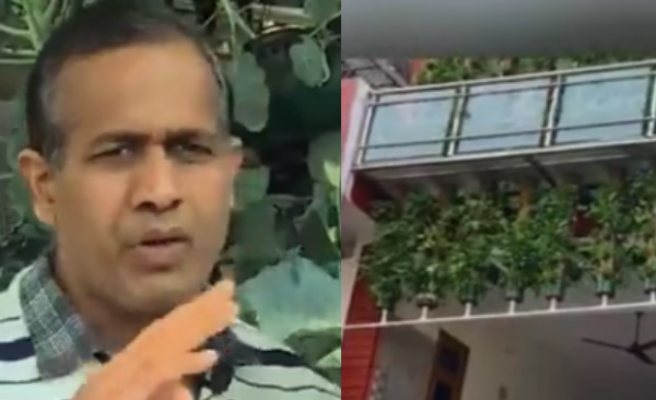 हरियाली प्रेम के जुनून में नौकरी छोड़ तीन मंजिला घर को बना डाला खेत 