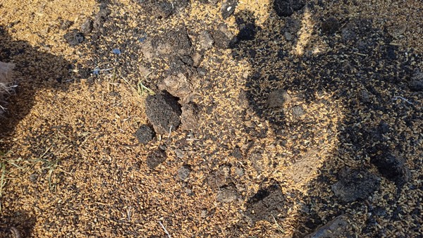 करीब 45 चिट्ठियां भेजने के बाद हुई यह दुर्दशा 