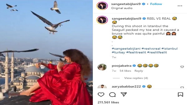 फोटोशूट के दौरान परिंदों ने किया हमला