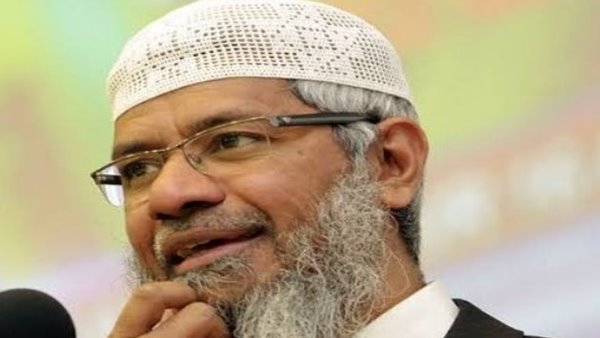 दिल्ली दंगों में नाइक की भूमिक