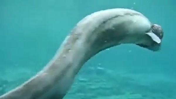 आधा शरीर सांप जैसा