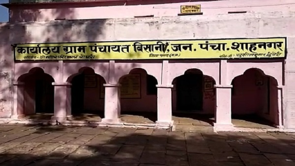 लंगूरों ने किया नाक में दम, वृंदावन से बुलाने पड़े एक्सपर्ट