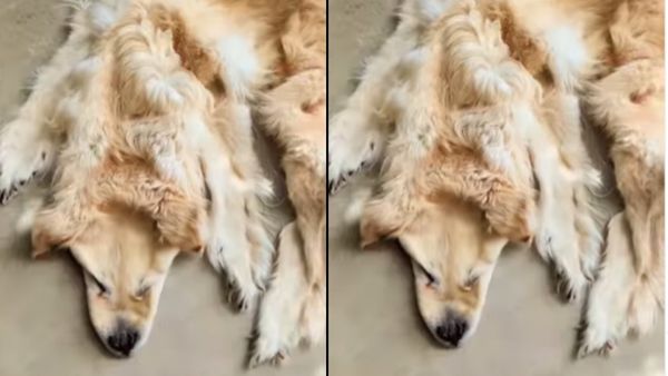 लोगों ने दिए रिएक्शन