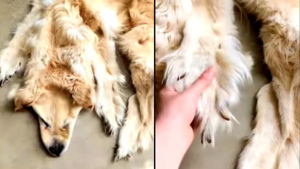 कुछ लोगों ने बताया भावुक 