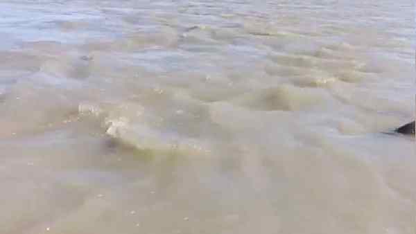 लोगों की आजीविका का टेंशन