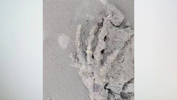 तट पर मिला अजीब कंकाल