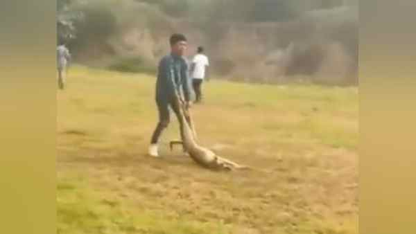 वीभत्स घटना पर पीपल्स फॉर एनिमल्स का बयान