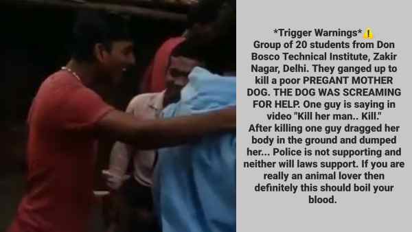 पशु प्रेमियों और कार्यकर्ताओं ने उठाई आवाज