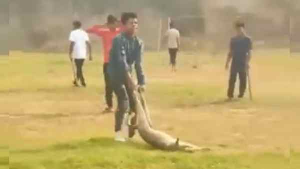 कॉलेज के छात्रों के साथ कर्मचारी भी शामिल