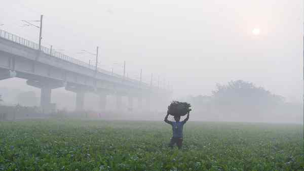 प्रजनन क्षमता भी होने लग सकती है प्रभावित-एक्सपर्ट
