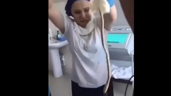 वीडियो पर 1.9 मिलियन व्यू, 40 हजार लाइक्स